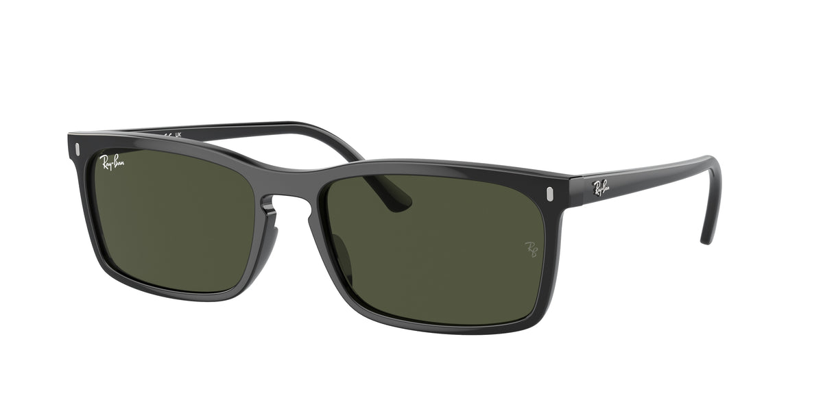 Ray-Ban RB4435 Black Sunglasses