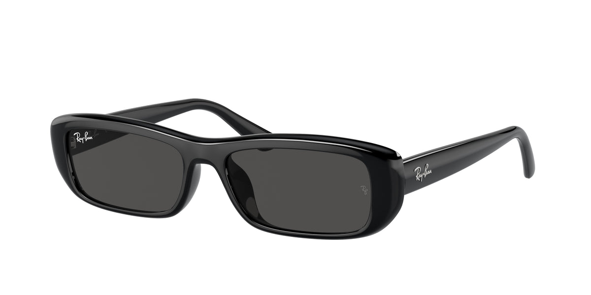 Ray-Ban RB4436D Black Sunglasses