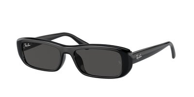 Ray-Ban RB4436D Sunglasses