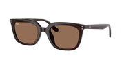 Ray-Ban RB4439D Opal Brown Sunglasses