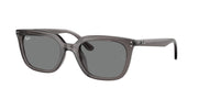 Ray-Ban RB4439D Transparent Grey Sunglasses