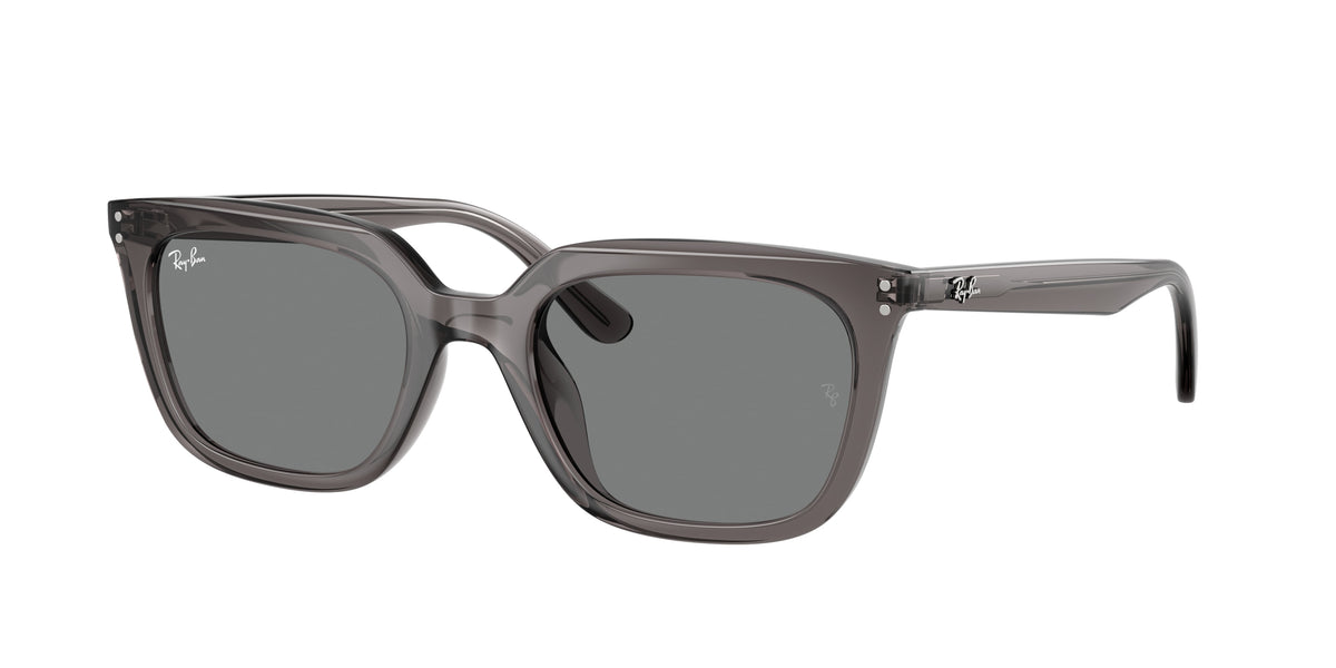 Ray-Ban RB4439D Transparent Grey Sunglasses