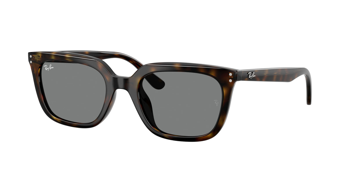 Ray-Ban RB4439D Havana Sunglasses