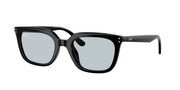 Ray-Ban RB4439D Black Sunglasses