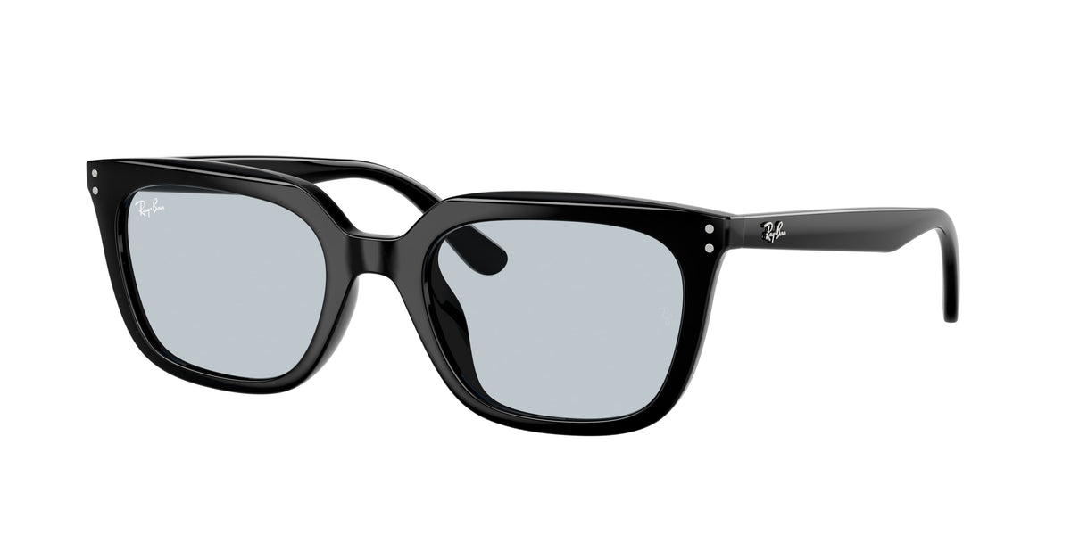 Ray-Ban RB4439D Black Sunglasses