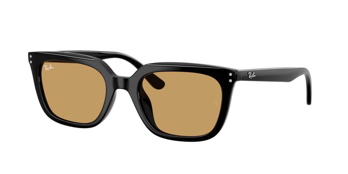 Ray-Ban RB4439D Black Sunglasses