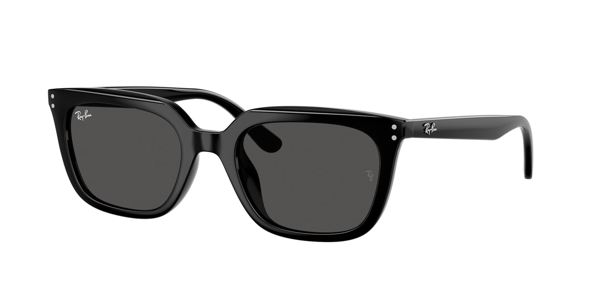Ray-Ban RB4439D Black Sunglasses