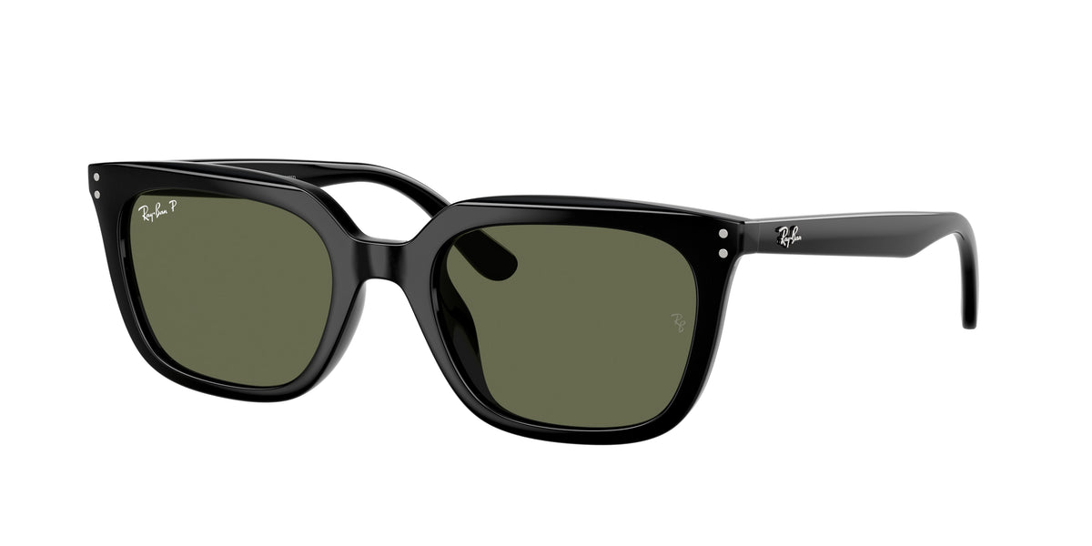 Ray-Ban RB4439D Black Sunglasses