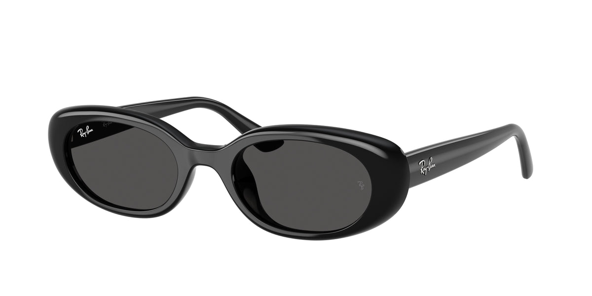 Ray-Ban RB4441D Black Sunglasses