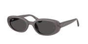 Ray-Ban RB4441D Transparent Dark Grey Sunglasses
