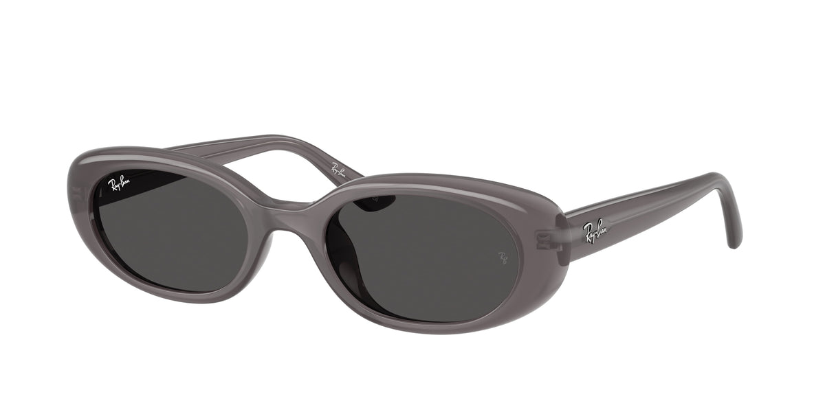 Ray-Ban RB4441D Transparent Dark Grey Sunglasses