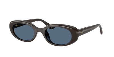 Ray-Ban RB4441D Sunglasses