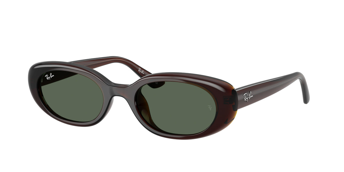 Ray-Ban RB4441D Transparent Brown Sunglasses