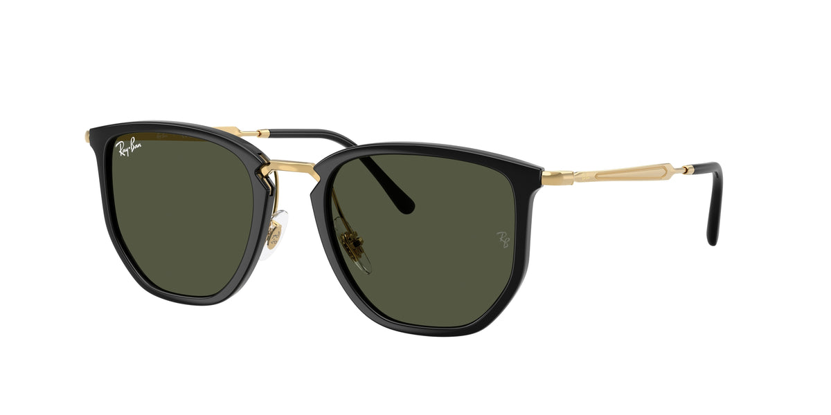 Ray-Ban RB4451 Black Sunglasses