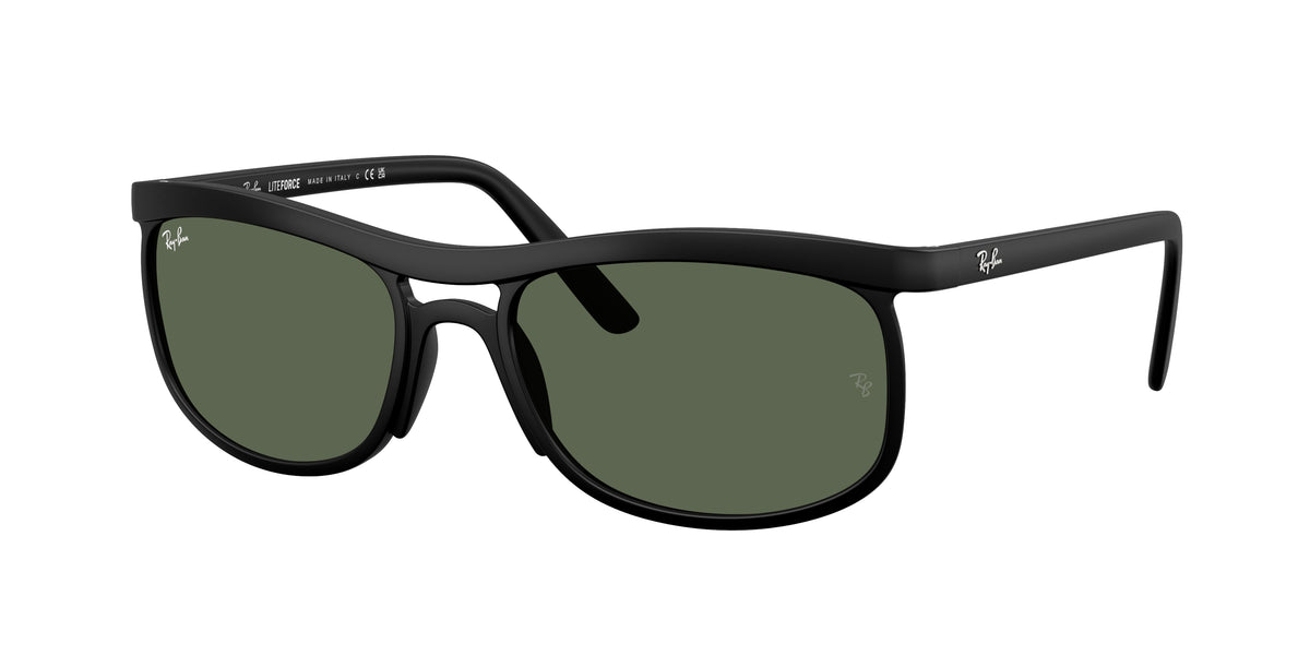 Ray-Ban RB4452 Sand Black Sunglasses