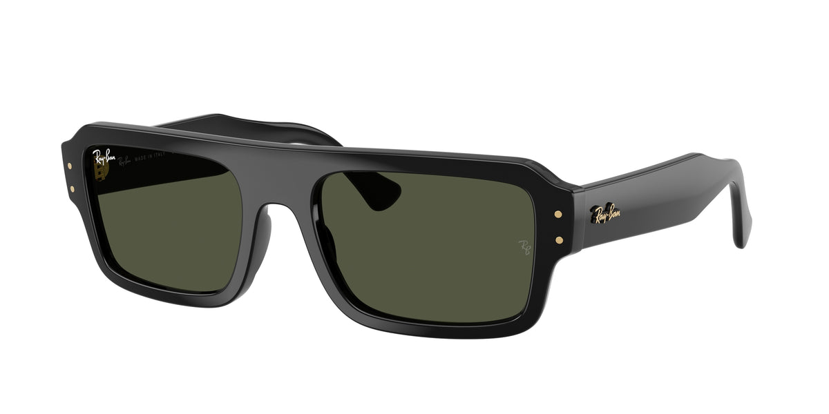Ray-Ban RB4454 Black Sunglasses