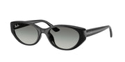 Ray-Ban RB4457D Black Sunglasses