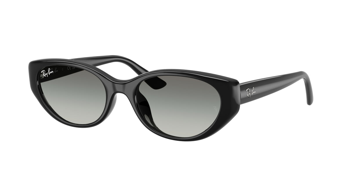 Ray-Ban RB4457D Black Sunglasses