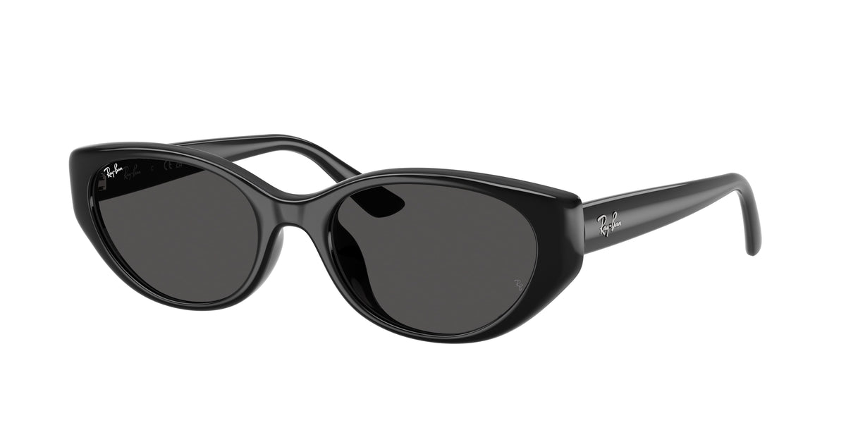 Ray-Ban RB4457D Black Sunglasses