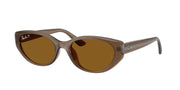 Ray-Ban RB4457D Transparent Brown Sunglasses