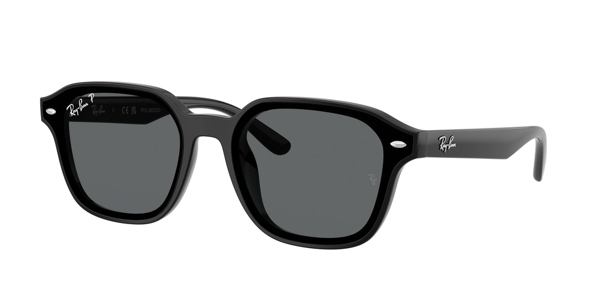Ray-Ban RB4458D Black Sunglasses