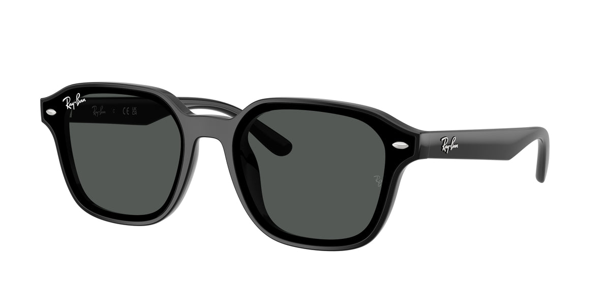 Ray-Ban RB4458D Black Sunglasses