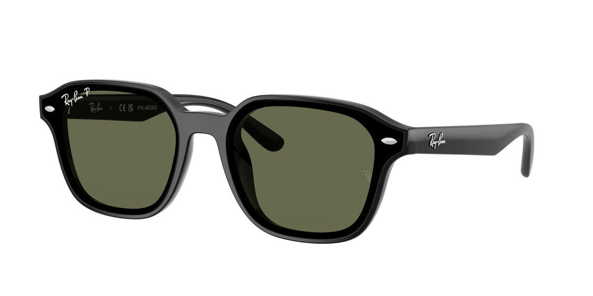 Ray-Ban RB4458D Black Sunglasses