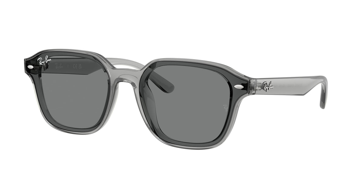 Ray-Ban RB4458D Transparent Grey Sunglasses