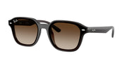 Ray-Ban RB4458D Transparent Dark Brown Sunglasses