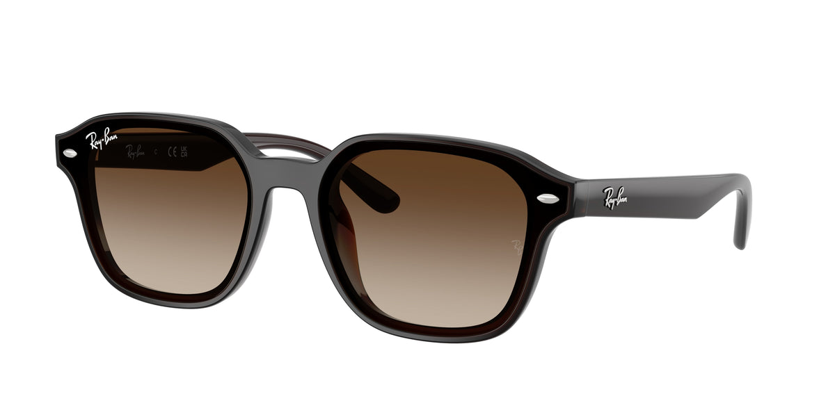 Ray-Ban RB4458D Transparent Dark Brown Sunglasses