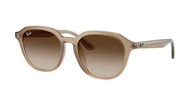 Ray-Ban RB4459D Sunglasses