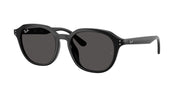 Ray-Ban RB4459D Black Sunglasses