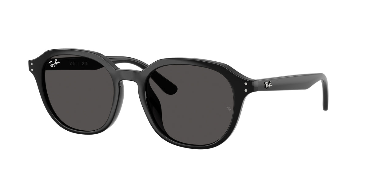 Ray-Ban RB4459D Black Sunglasses