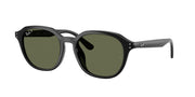 Ray-Ban RB4459D Black Sunglasses