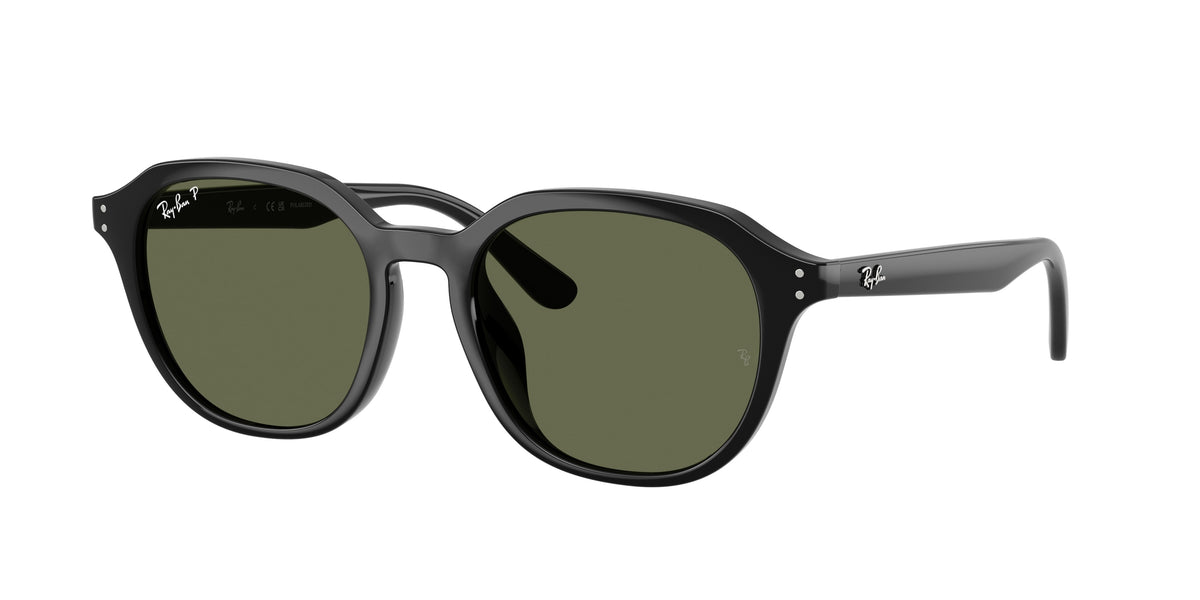 Ray-Ban RB4459D Black Sunglasses
