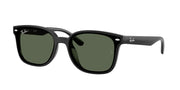 Ray-Ban RB4461D Black Sunglasses