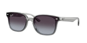Ray-Ban RB4461D Transparent Grey Sunglasses