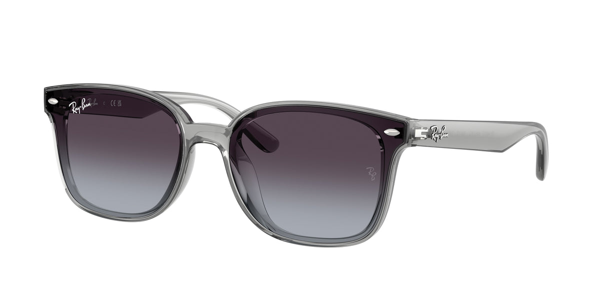 Ray-Ban RB4461D Transparent Grey Sunglasses