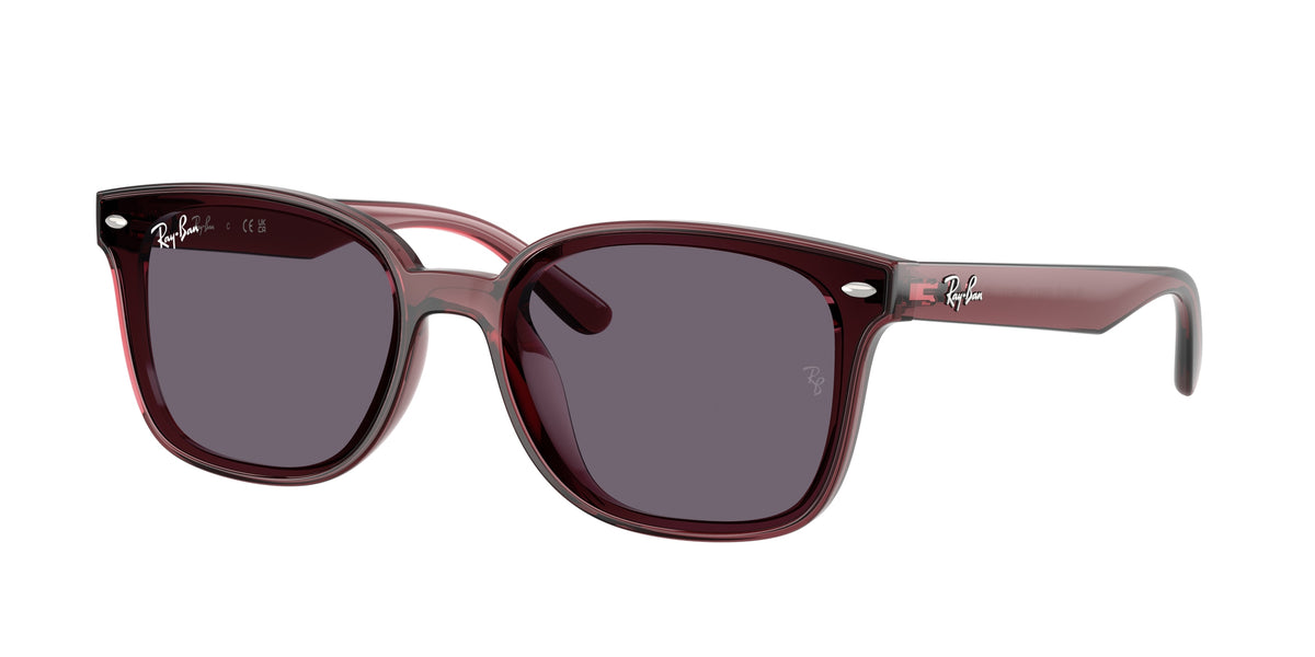 Ray-Ban RB4461D Transparent Dark Brown Sunglasses