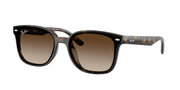 Ray-Ban RB4461D Havana Sunglasses