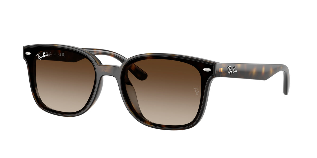 Ray-Ban RB4461D Havana Sunglasses