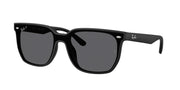 Ray-Ban RB4466D Matte Black Sunglasses