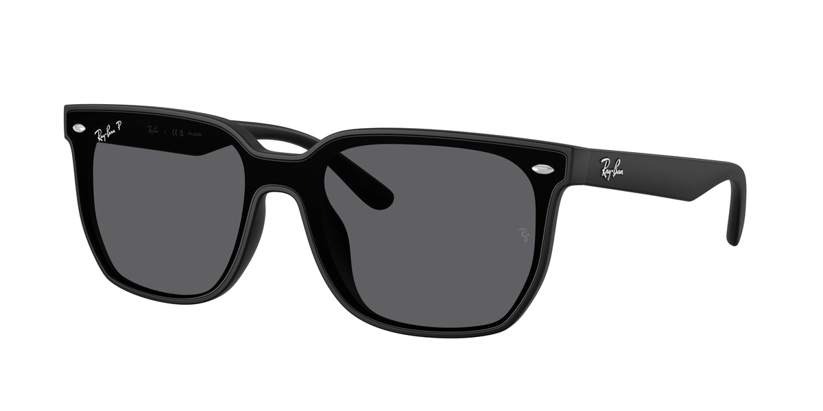 Ray-Ban RB4466D Matte Black Sunglasses