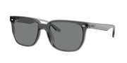 Ray-Ban RB4466D Transparent Grey Sunglasses