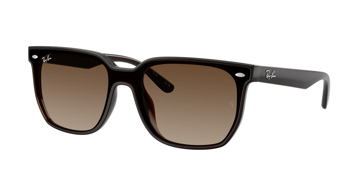 Ray-Ban RB4466D Transparent Dark Brown Sunglasses