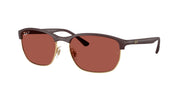 Ray-Ban RB4469 Sand Violet Sunglasses