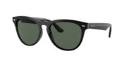Ray-Ban RB4471 Black Sunglasses