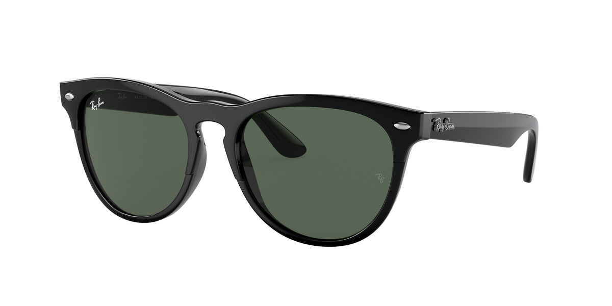 Ray-Ban RB4471 Black Sunglasses