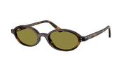 Ray-Ban RB4472 Havana Sunglasses