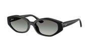 Ray-Ban RB4473D Black Sunglasses